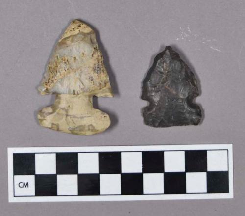 Chipped stone, projectile points, side-notched