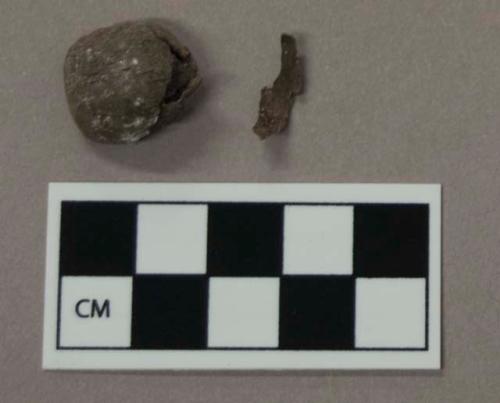 Nut, acorn fragment