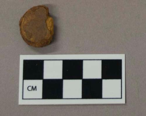 Ferrous metal, button fragment