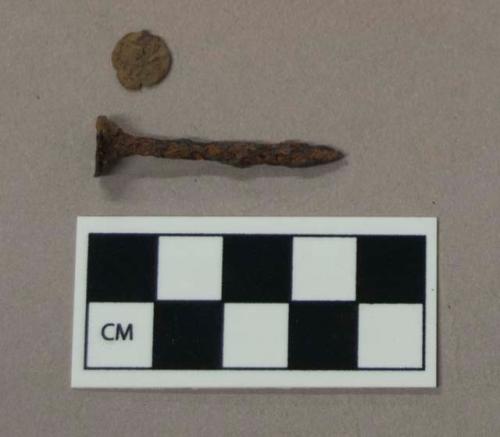 Ferrous metal, wire nail and nail fragment