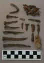 Ferrous metal, cut nails and nail fragments