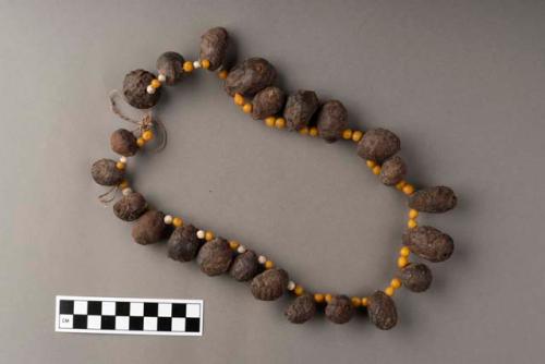 Necklace of brown tubers, yellow and white organic material