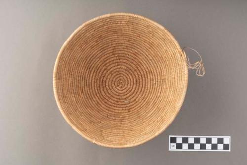 Coiled berry basket