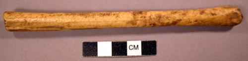 Unclassified tool, worked bone, one end hollow