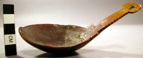 Man's elkhorn spoon