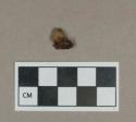 Metal, unidentified nail fragment attached to stone