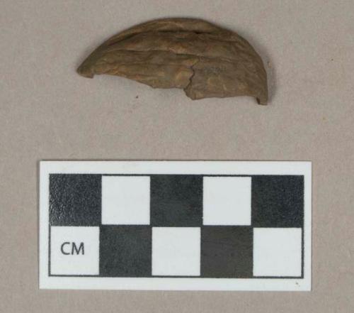 Organic, unmodified walnut shell fragment