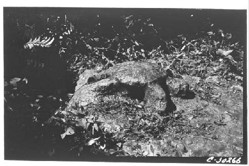 Turtle figure of limestone carved on ledge of rock 1/2 kilometer W. of High Prie
