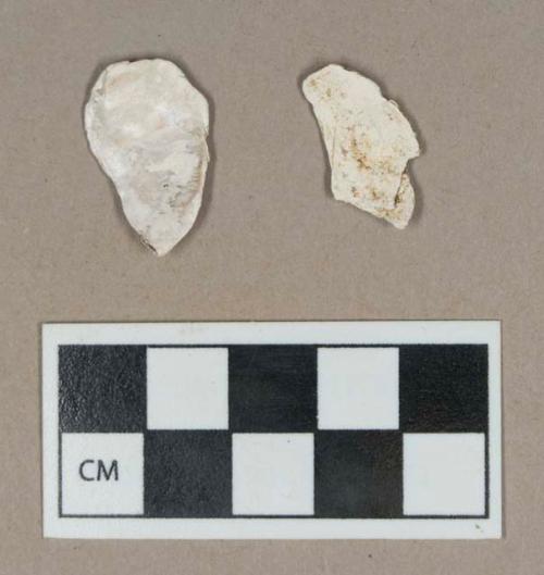 Organic, shell fragments