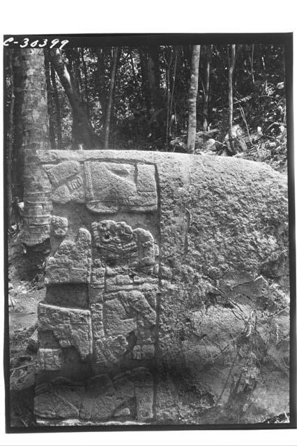 Stela 20. Lower section.