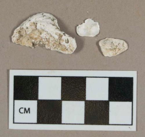 Organic, faunal remain, shell fragments