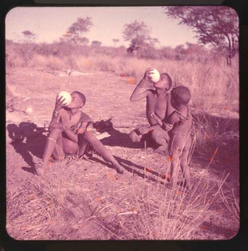 Water: /Gunda (N!ai's husband) and another person sitting and drinking from ostrich eggshells, with a child standing next to them