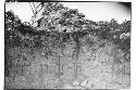 Northwest corner, interior of Patio Mercado showing masonry.