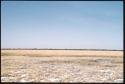 Scenery, Pan: Dry grass at Gautscha Pan in the dry season