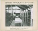 Peabody Museum storage, circa 1960s.