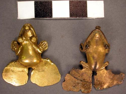 Gold frog - pendant