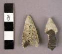 Stone arrow heads