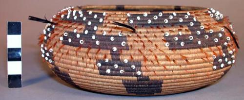 Small round coiled basket, brown woven design, feather and shell ornament.