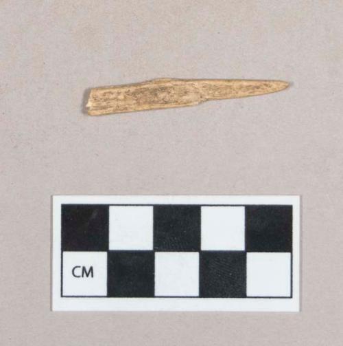 Organic, animal bone perforator fragment