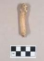Organic, animal bone fragment