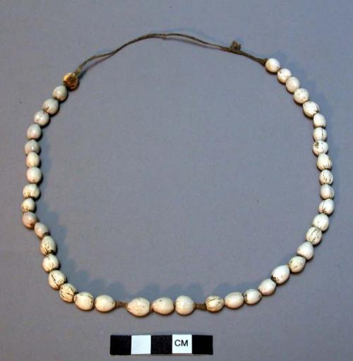 String of child's beads made from  "Tears of Saint Peter"