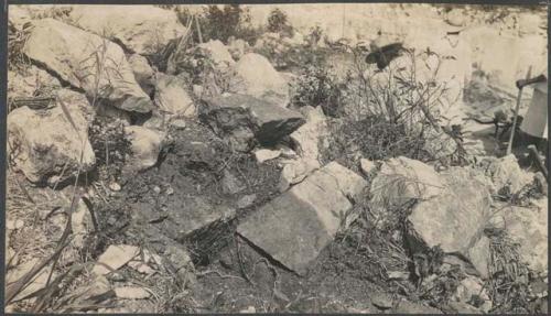 El Caracol, South Annex, trapizoidal stones at T. House