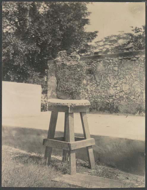 Coba, stucco head brought to Chichen by Thompson and Pollack, rear view