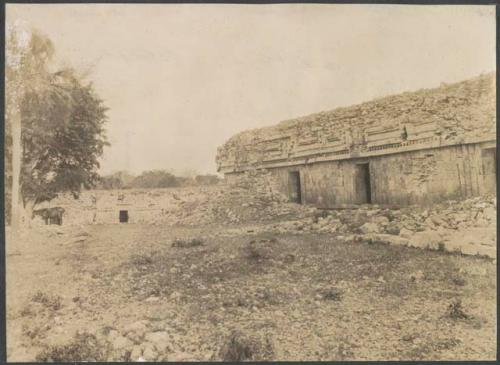 Labna, horses in front of palace, Structure I east wing