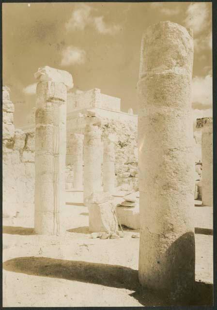 North Colonnade after excavation