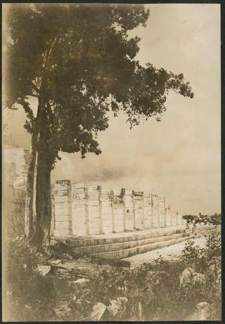 Temple of Warriors, Northwest Colonnade