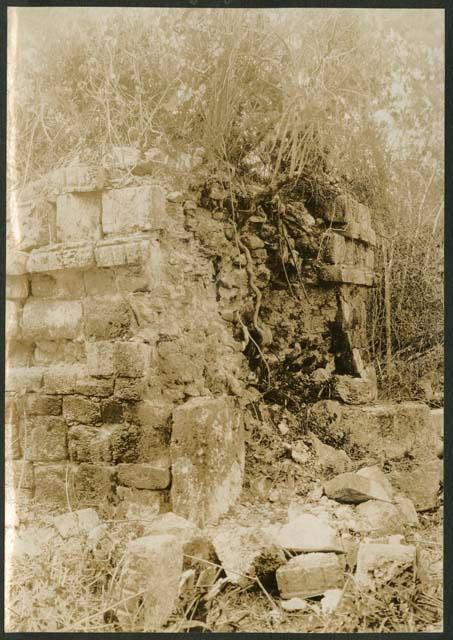 Temple with standing roof