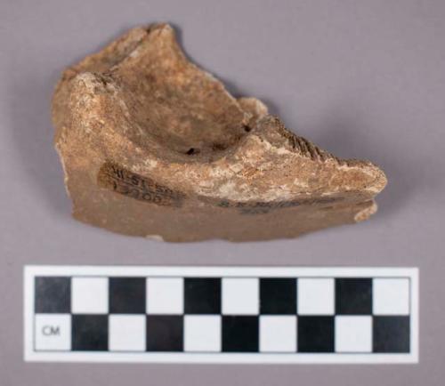 Faunal remains, boar (Sus scrofa) bone fragment