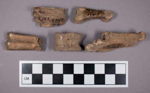 Faunal remains, sheep (Ovis aries) bone and teeth fragments