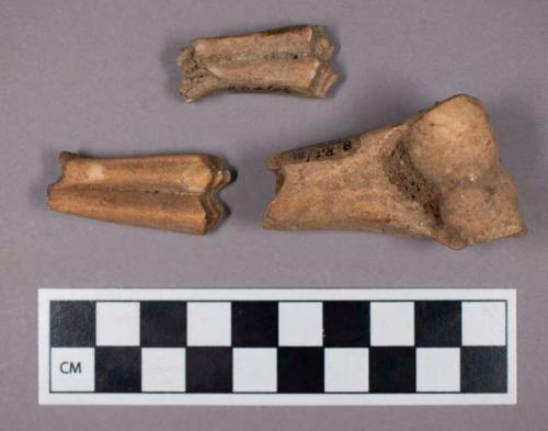 Faunal remains, sheep (Ovis aries) bone and teeth fragments