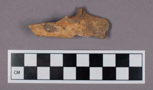Faunal remains, gazelle (Gazella tingitana) bone fragment