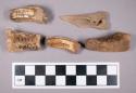 Faunal remains, sheep (Ovis aries) teeth and bone fragments