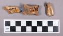 Faunal remains, gazelle (Gazella tingitana) bone and tooth fragments