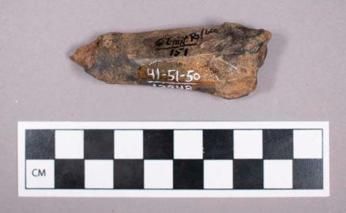 Faunal remains, gazelle (Gazella) bone fragment