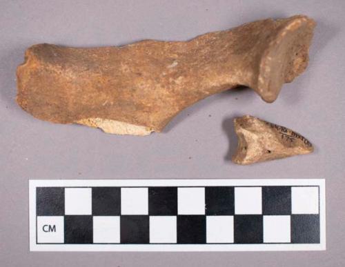 Faunal remains, boar (Sus scrofa) bone fragments