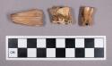 Faunal remains, tooth fragments