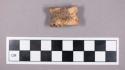 Faunal remains, gazelle bone fragment
