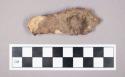 Faunal remains, sheep (Ovis aries) bone fragment