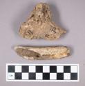Faunal remains, sheep (Ovis aries) bone fragments
