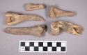 Faunal remains, sheep (Ovis aries) bone fragments