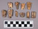 Faunal remains, goat (Capra hircus) teeth fragments