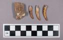 Faunal remains, tooth fragments including incisors