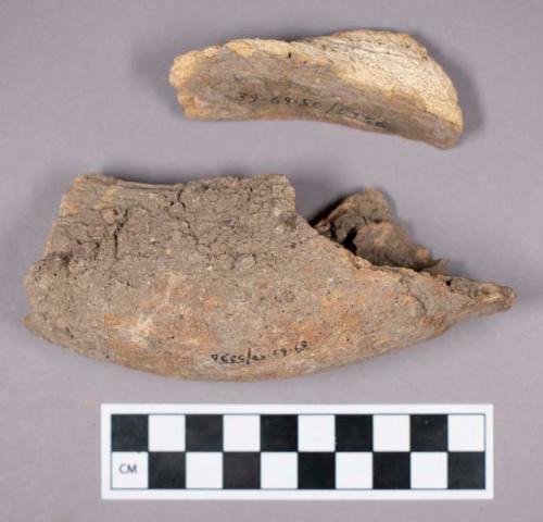 Faunal remains, sheep (Ovis aries) bone and teeth fragments