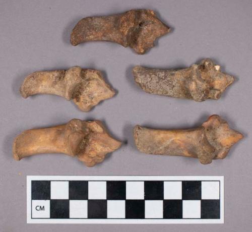 Faunal remains, sheep (Ovis aries) bone fragment