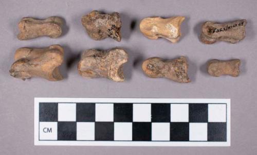 Faunal remains, sheep (Ovis aries) bone fragments