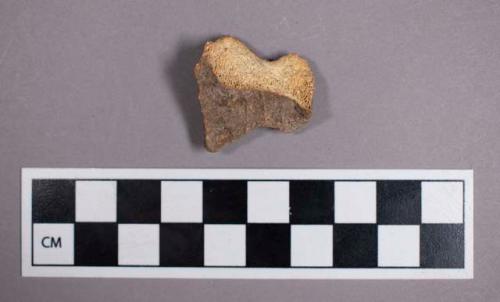 Faunal remains, bone fragment